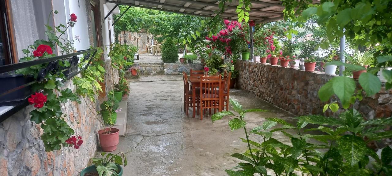 Roleo Guest House Lini Екстериор снимка