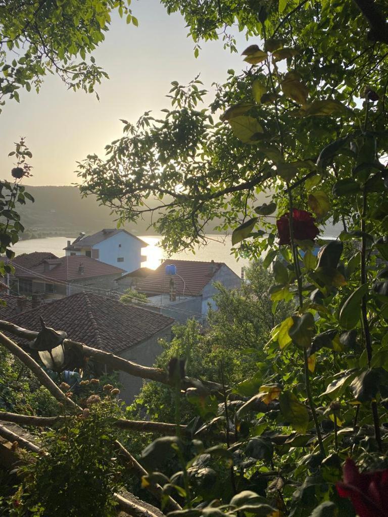 Roleo Guest House Lini Екстериор снимка