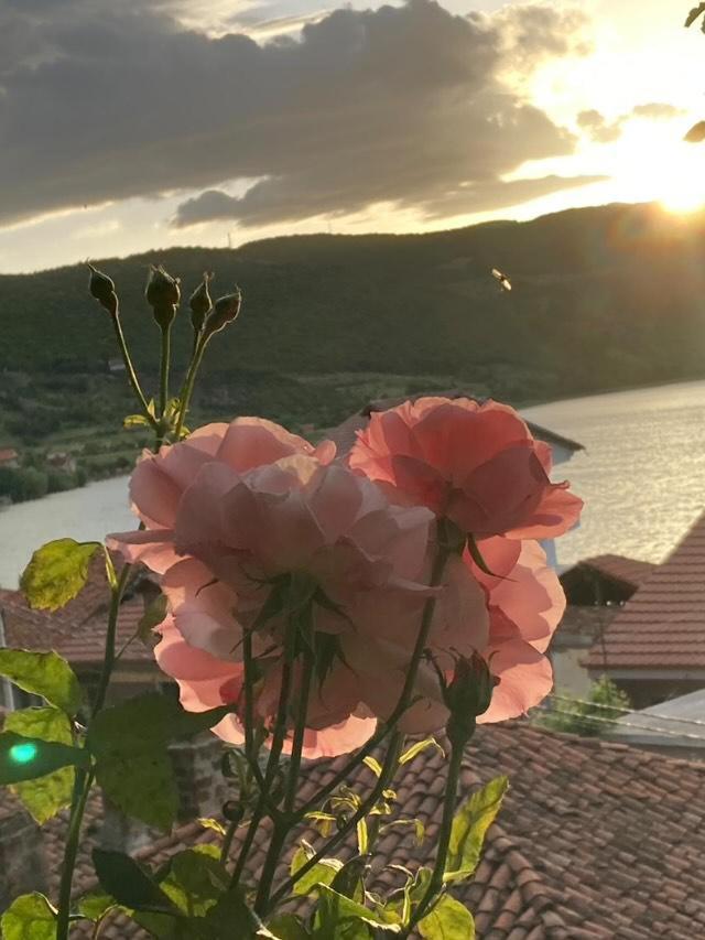 Roleo Guest House Lini Екстериор снимка